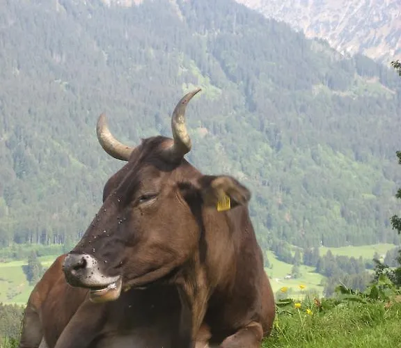 Daire Brunner Fischen im Allgaeu